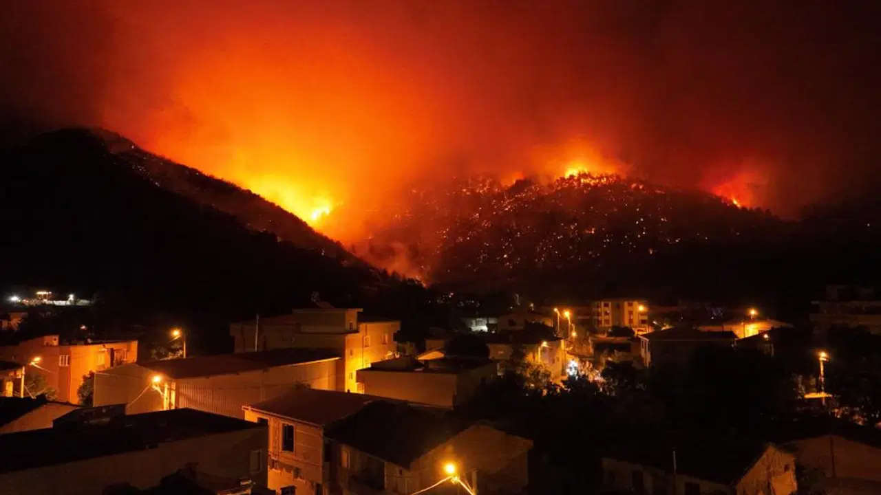 Bursa'da yanan ormanlık alan maden sahası ilan edilmiş