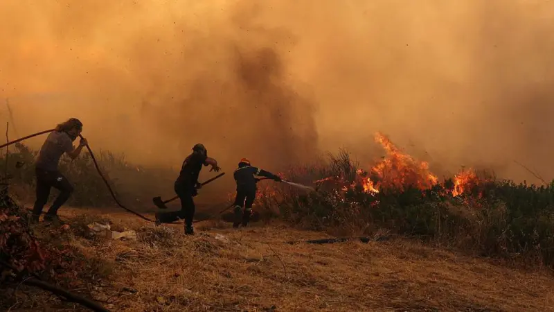 Yunanistan ve Bulgaristan'daki orman yangınları da Türkiye sınırına ulaştı