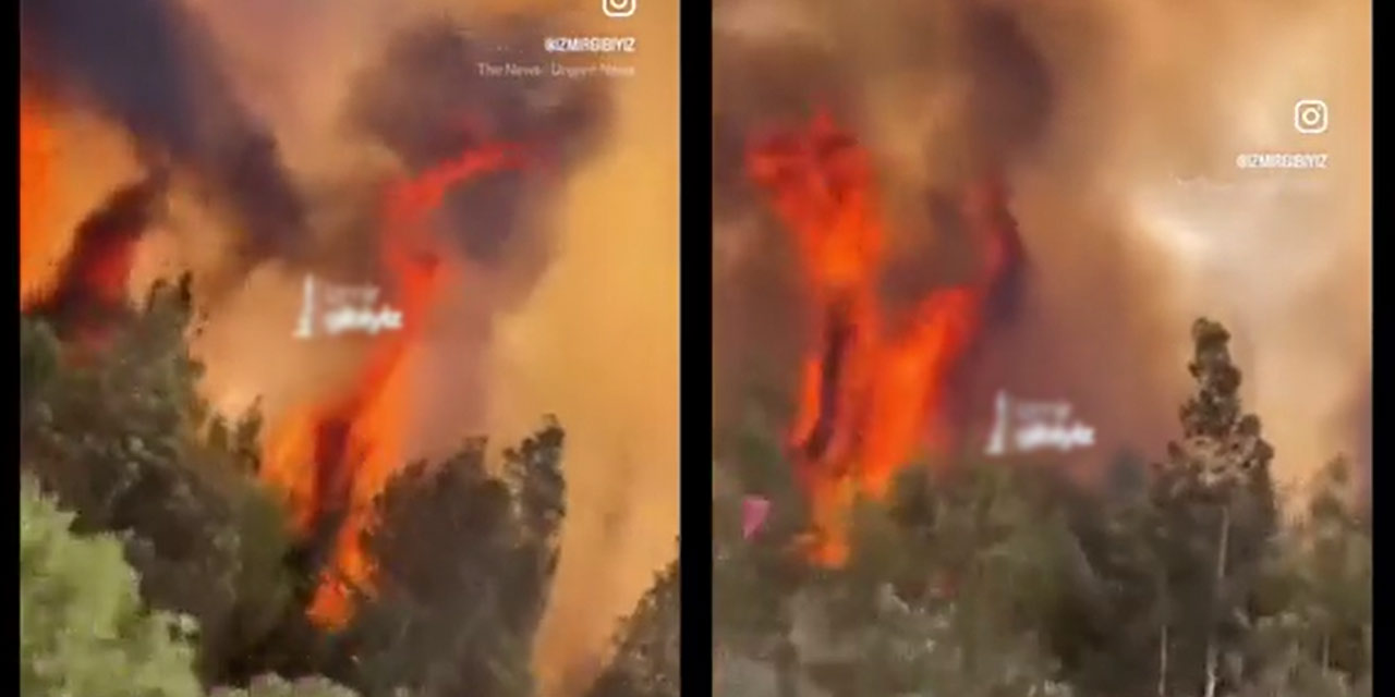 Bornova'da yangın çıktı, rüzgar alevleri Buca'ya taşıdı