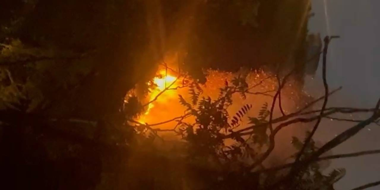 Beykoz'da orman yangını: Alevler bir anda yükseldi...