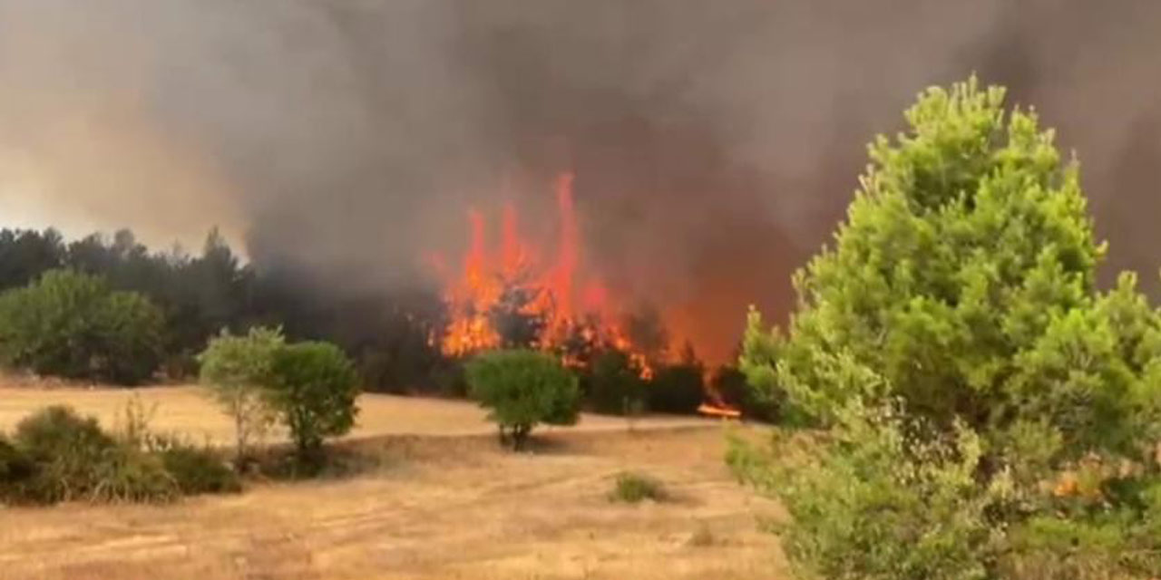 Orman Bakanı Yumaklı: 4 ildeki 5 yangın kontrol altında