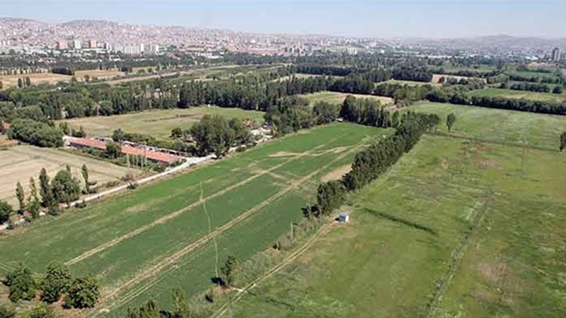 AOÇ arazisi Koca’nın üniversitesine verildi: Yangınlar sürerken Erdoğan imzaladı