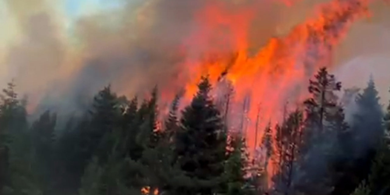 Bir kötü haber daha geldi: Çankırı'da orman yangını