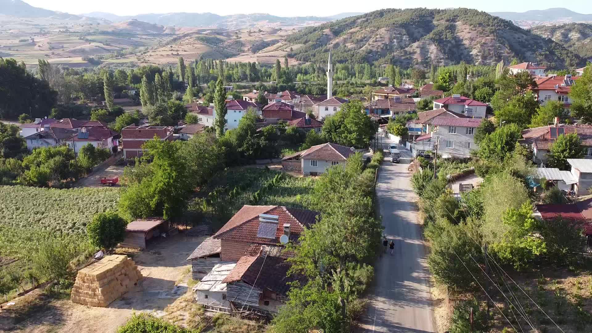 İstanbul'dan Amasya'ya göç eden genç çift, devlet teşvikleri ile manda yetiştiriciliğine başladı
