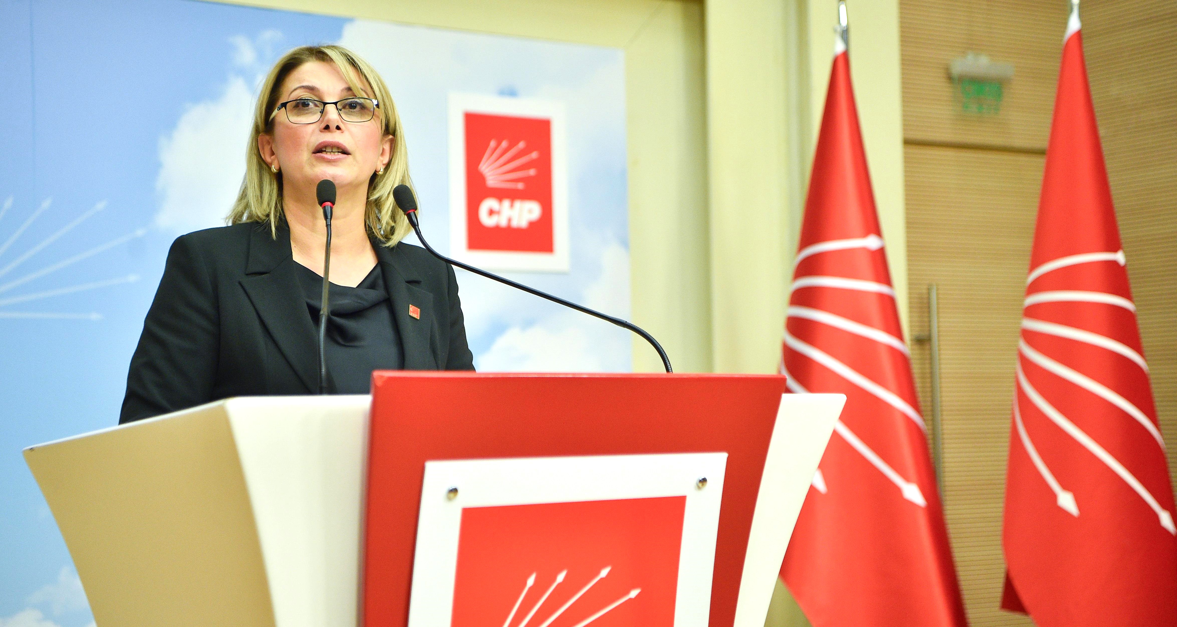 CHP'li Asu Kaya: Kadınların özgür ve güvenli yaşamadığı bir ülkede doğurganlık artmaz