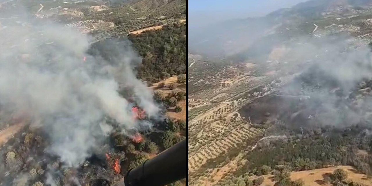 Aydın'da tarım arazisinde korkutan yangın