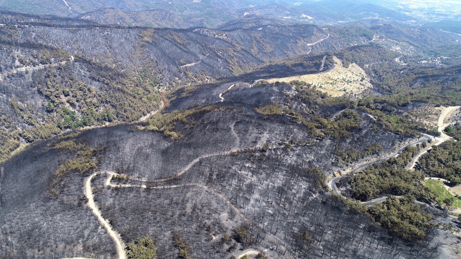 Toplum Çalışmaları Enstitüsü: 12 bin 752 futbol sahası büyüklüğünde alan kül oldu