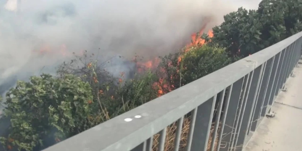 Silivri'de ağaçlık alanda yangın alarmı! TEM bağlantı yolu trafiğe kapandı