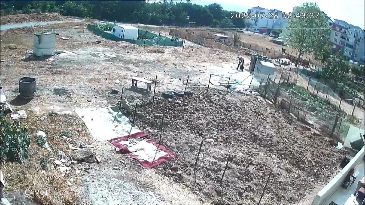 Başakşehir’den sonra şimdi de Esenyurt: Köpeklere işkence