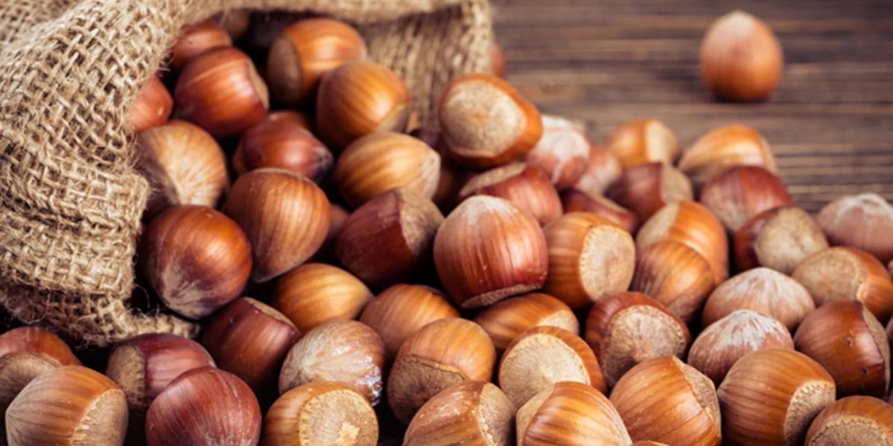 CHP'li vekil isim isim açıkladı: Fındık üreticisine tuzak mı var