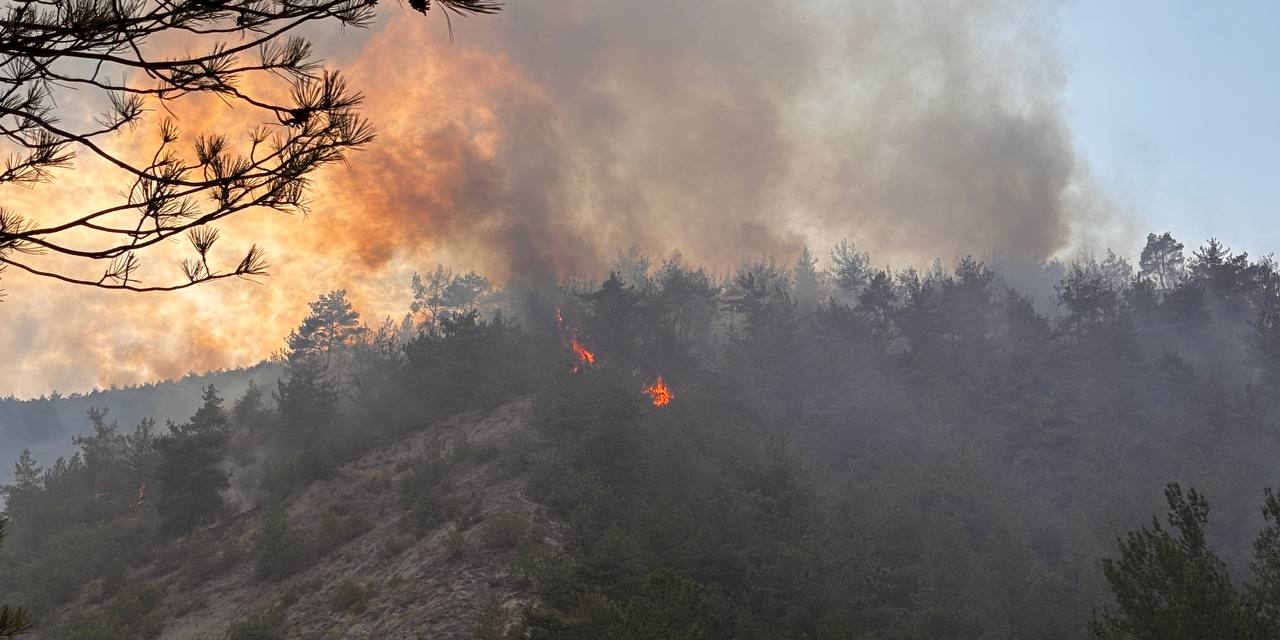 Karabük'te orman yangını: Ekipler teyakkuza geçti