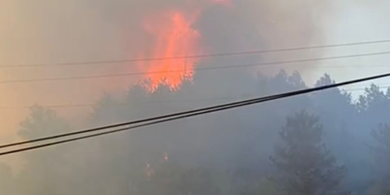 Bartın'da orman yangını: Yurttaşlar, söndürme çalışmalarına destek oldu