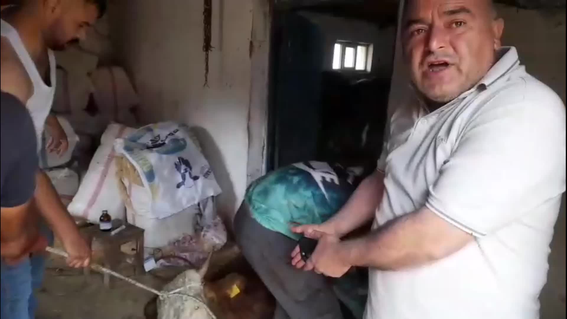 Şap felaketi büyüyor | 6 hayvanını kaybeden üretici: "Tarım Bakanı istifa etsin, vatandaş sokağa dökülecek"