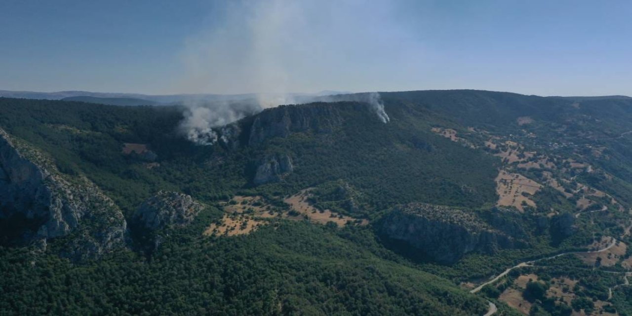 Sinop'taki büyük orman yangınında son durum: Köy boşaltıldı