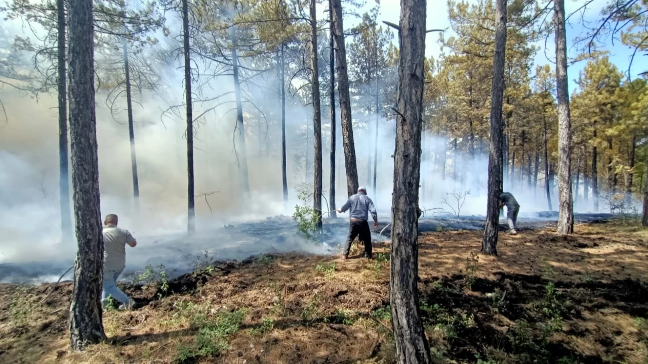 Bir kötü haber de Denizli'den: Orman yangınına 3 helikopterle müdahale