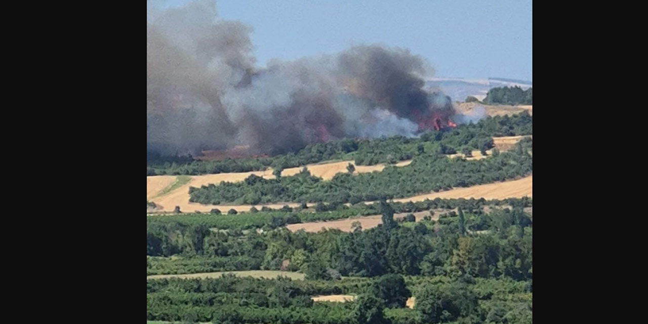 Çanakkale'den korkutan haber geldi: Tarım arazisinden ormana sıçradı
