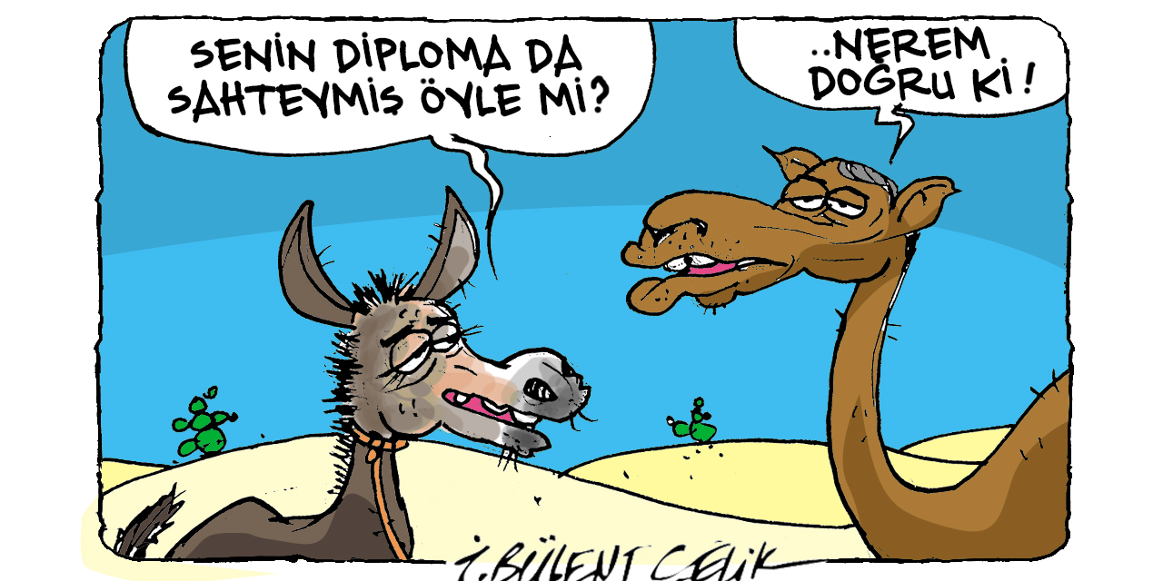 İ. Bülent Çelik'in 11 Ağustos 2025 tarihli karikatürü