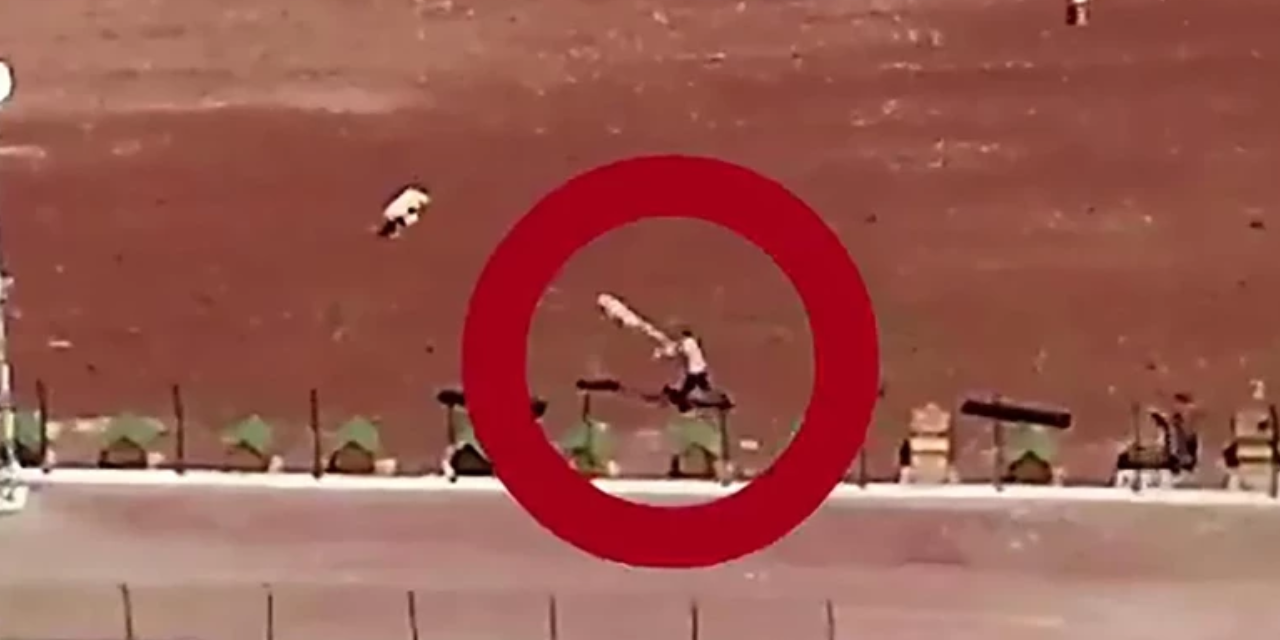 Barınakta köpeklere demir sopalı işkence! Valilik soruşturma başlattı