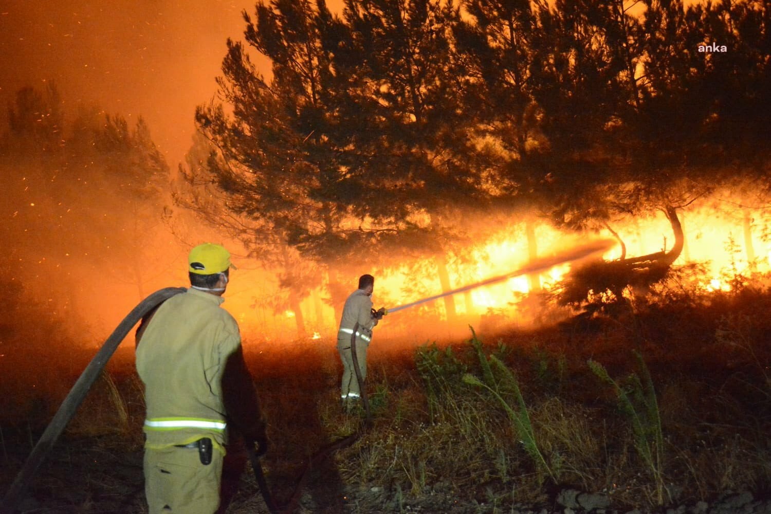 Muğla'da bazı ormanlık alanlara girişler 1 Haziran'dan itibaren yasaklanacak