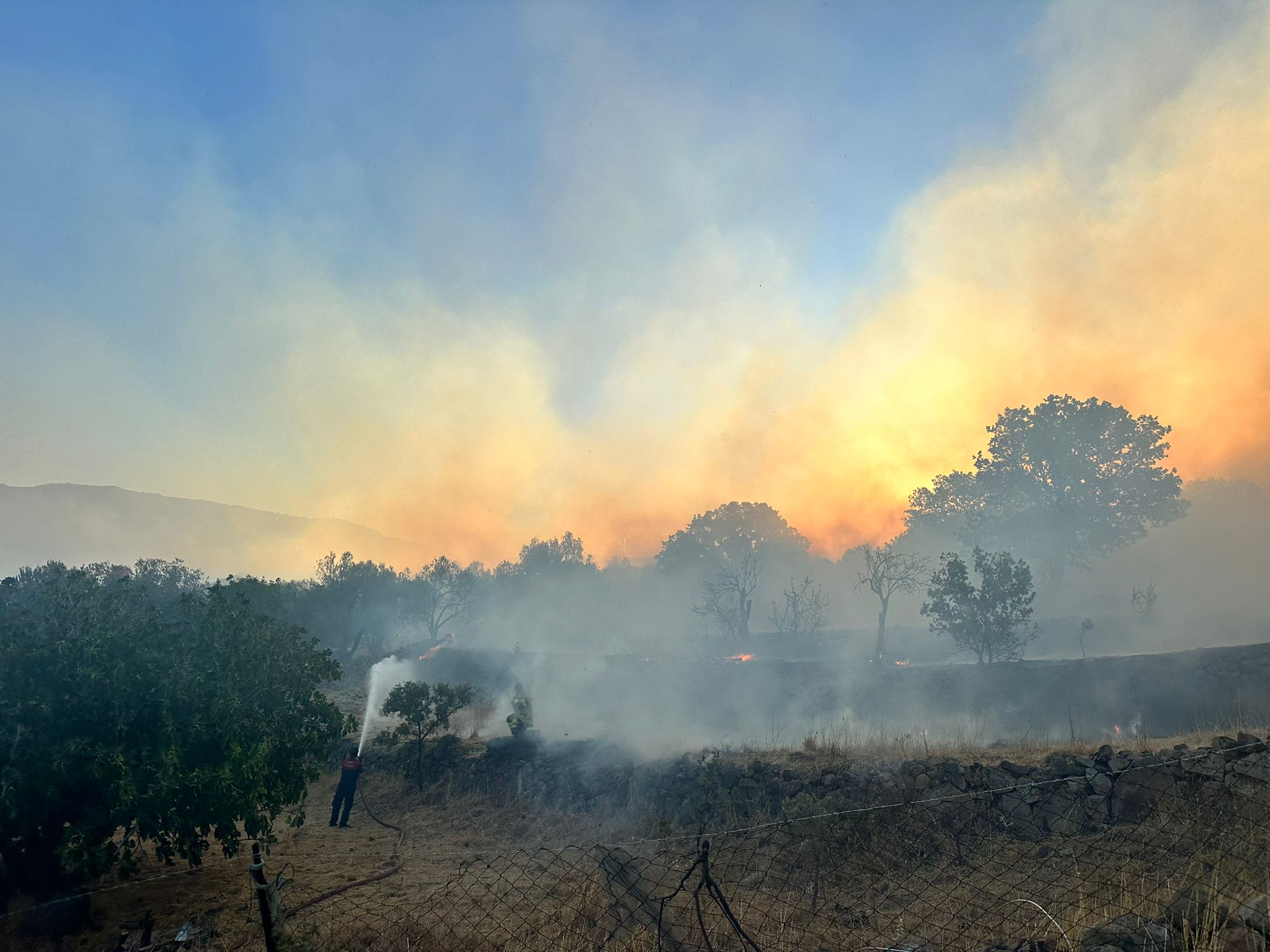 Dikili’de gece yarısı yangın: 7 ev kül oldu