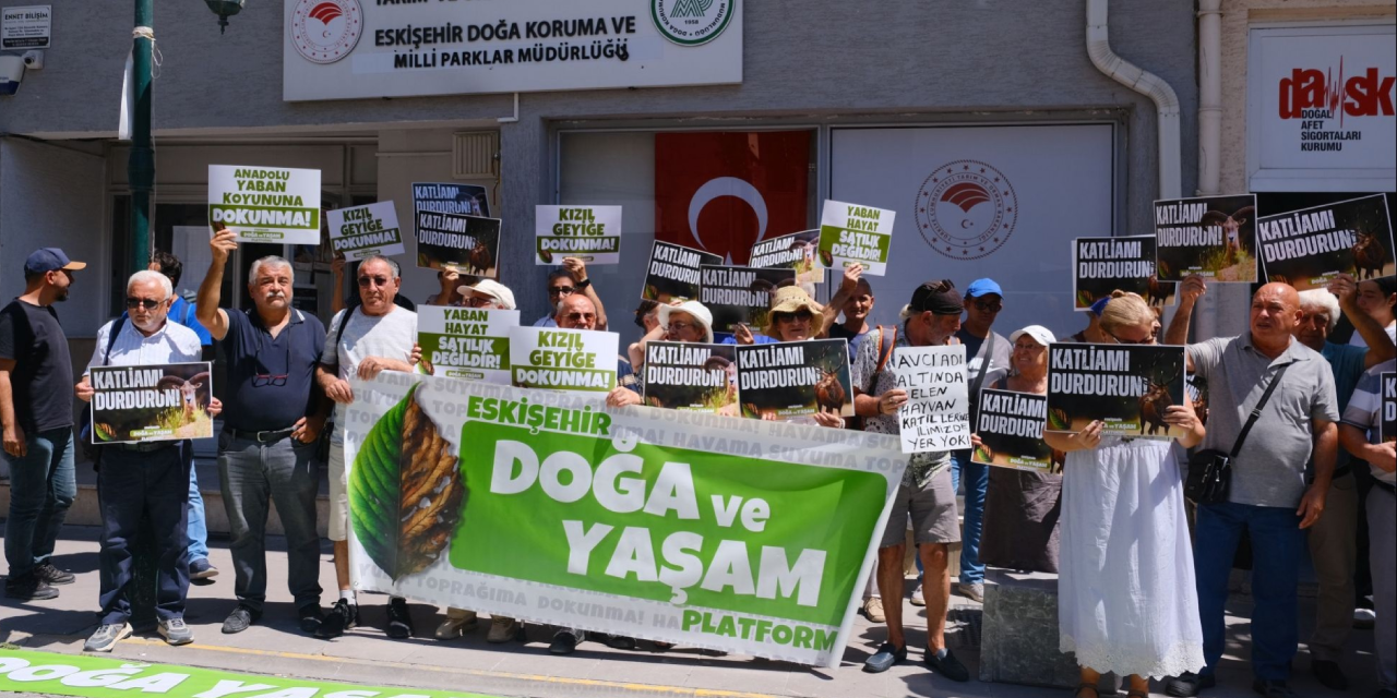 Yaşam savunucularından 'av ihalesi'ne tepki: “Hayvanların yaşam hakkına fiyat biçiliyor”