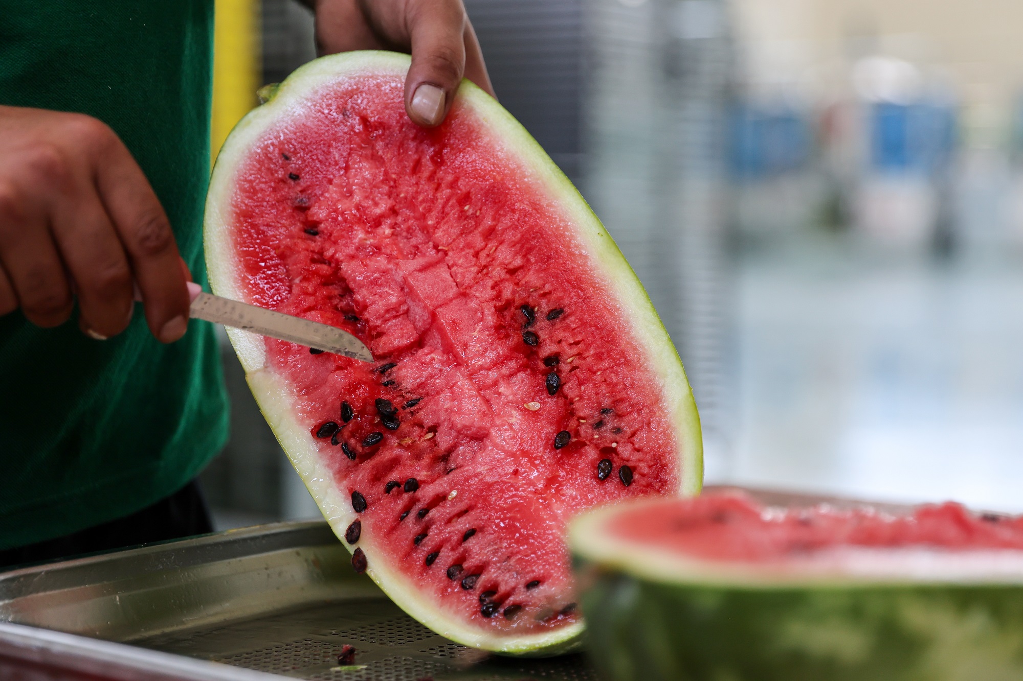Gaziantep’te ata tohumları kadın çiftçilerin eliyle yeniden yeşeriyor