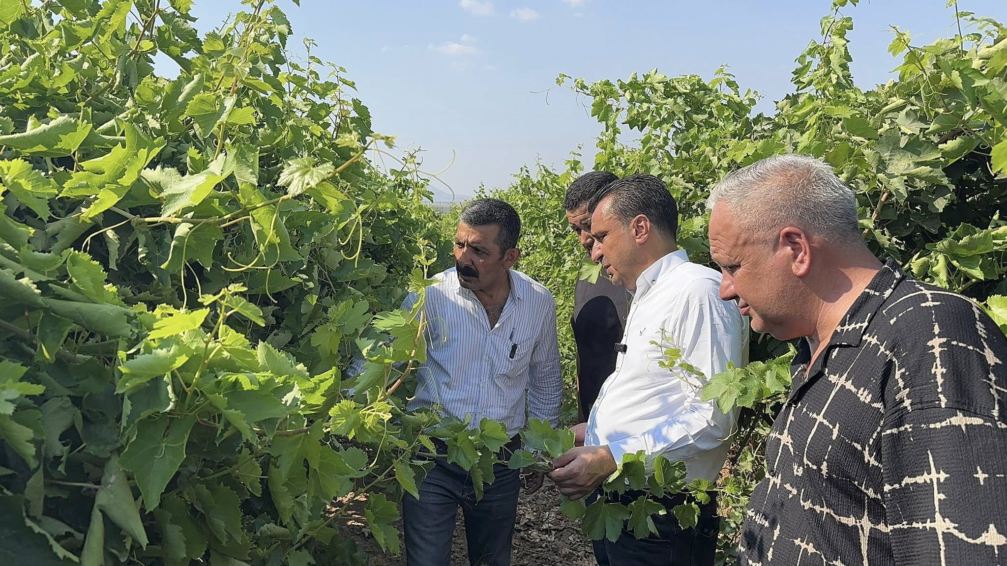 Manisalı üzüm üreticisi: “Çalıştıkça kötüye gidiyoruz, emeğimiz hiçe sayılıyor”