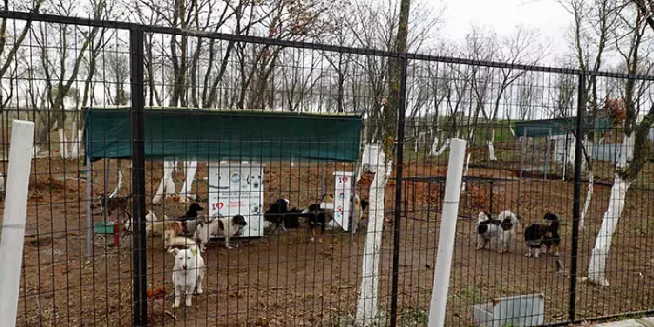 Doğal sit alanlarında hayvan bakımevleri ve doğal yaşam alanları kurulabilecek