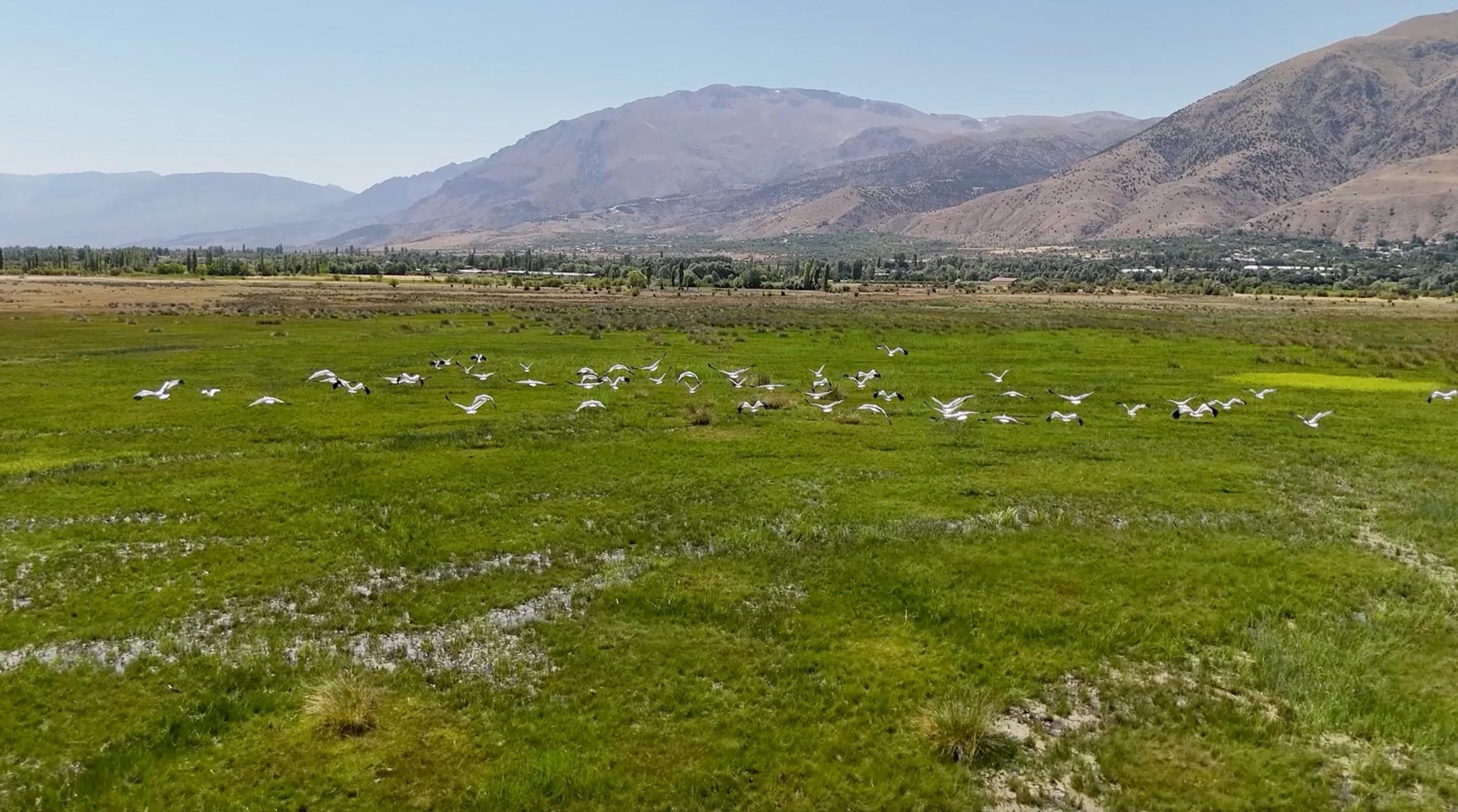 Afrika'dan Erzincan'a gelen mutluluk