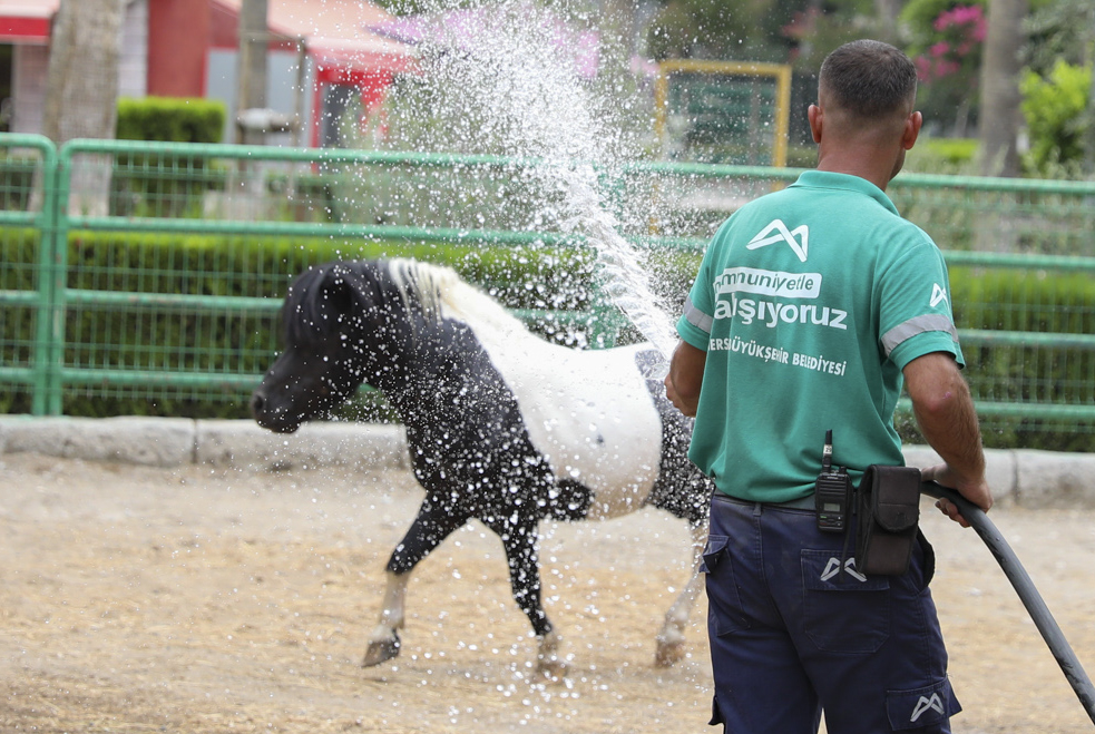 Tarsus Doğa Parkı’nda hayvanlar sıcağı buzlu meyve ve fıskiyelerle atlatıyor