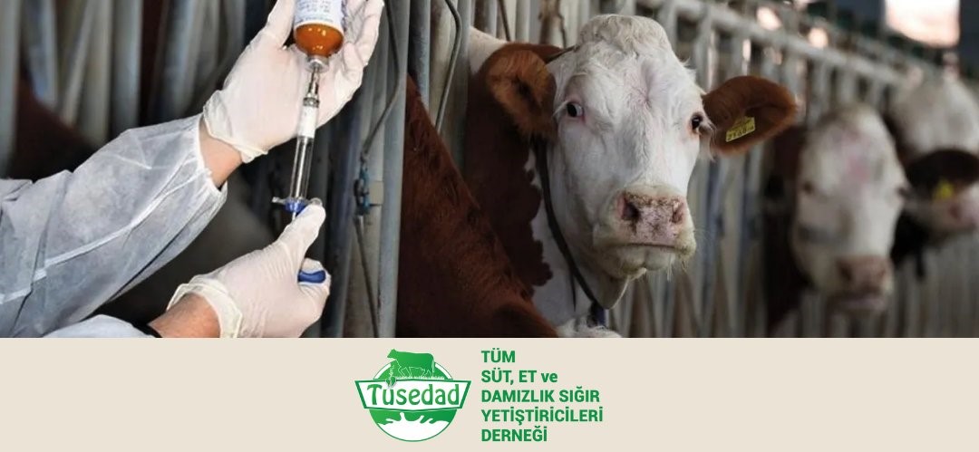 TÜSEDAD: Şap hastalığı için yüksek risk altındayız