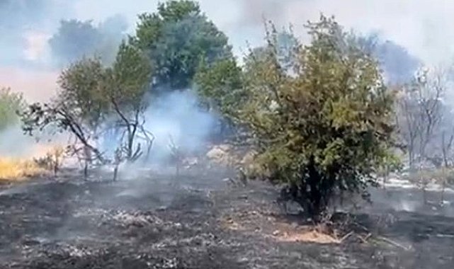 Türkiye orman yangınlarıyla mücadele ediyor: Malatya'da orman yangını