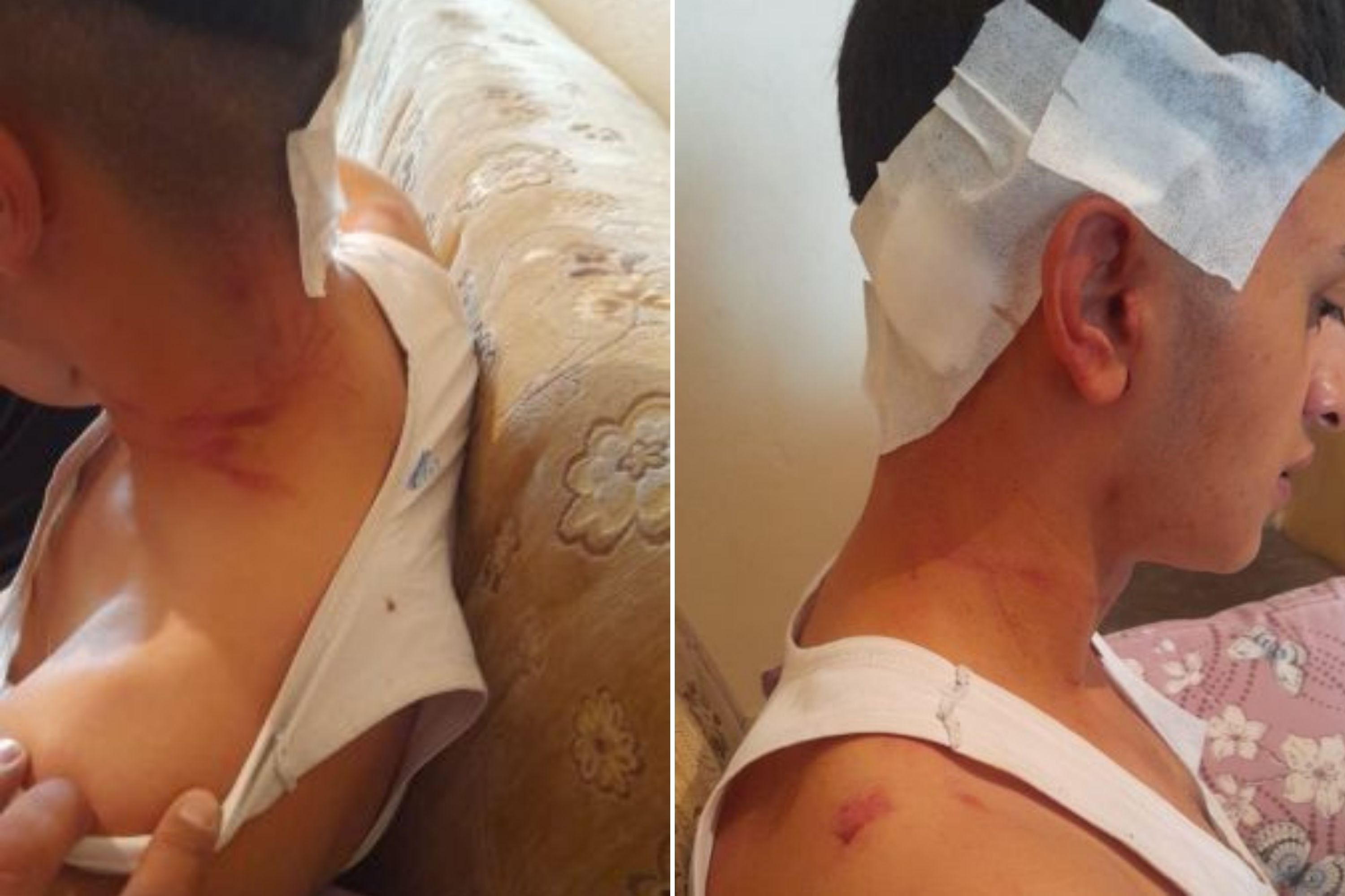 Keban’daki festivalde darp iddiası: MHP'li belediye başkanının oğulları suçlandı