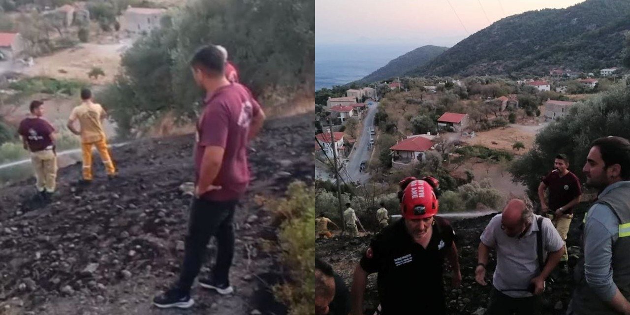 Datça'da 'zeytinlik' yangını! 3 dönüm alan küle döndü