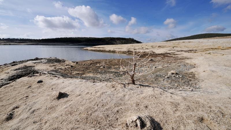 Uşak'ı kurutan şirkete kolaylık sağlanmış: KDV istisnası, vergi muafiyeti
