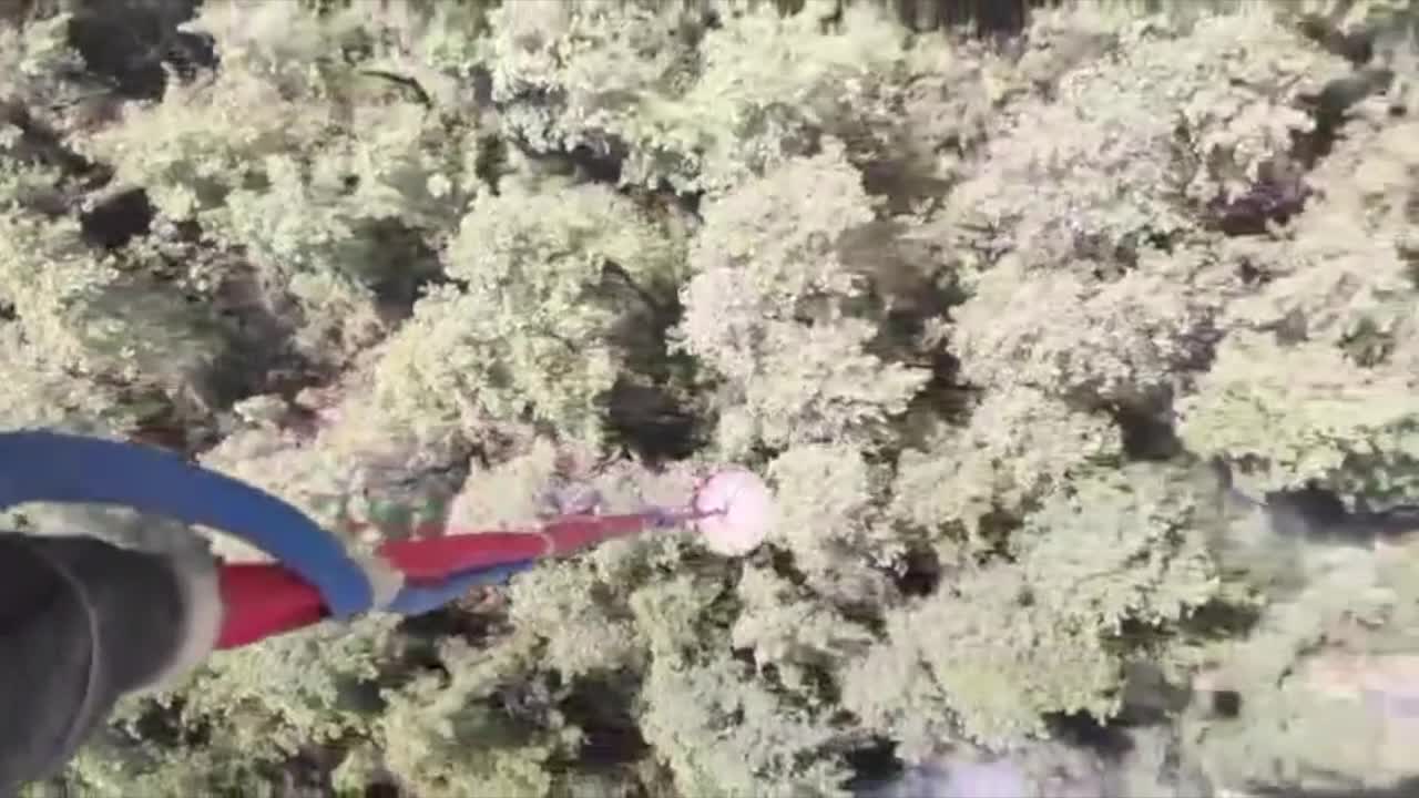 İzmir Menderes'te orman yangını