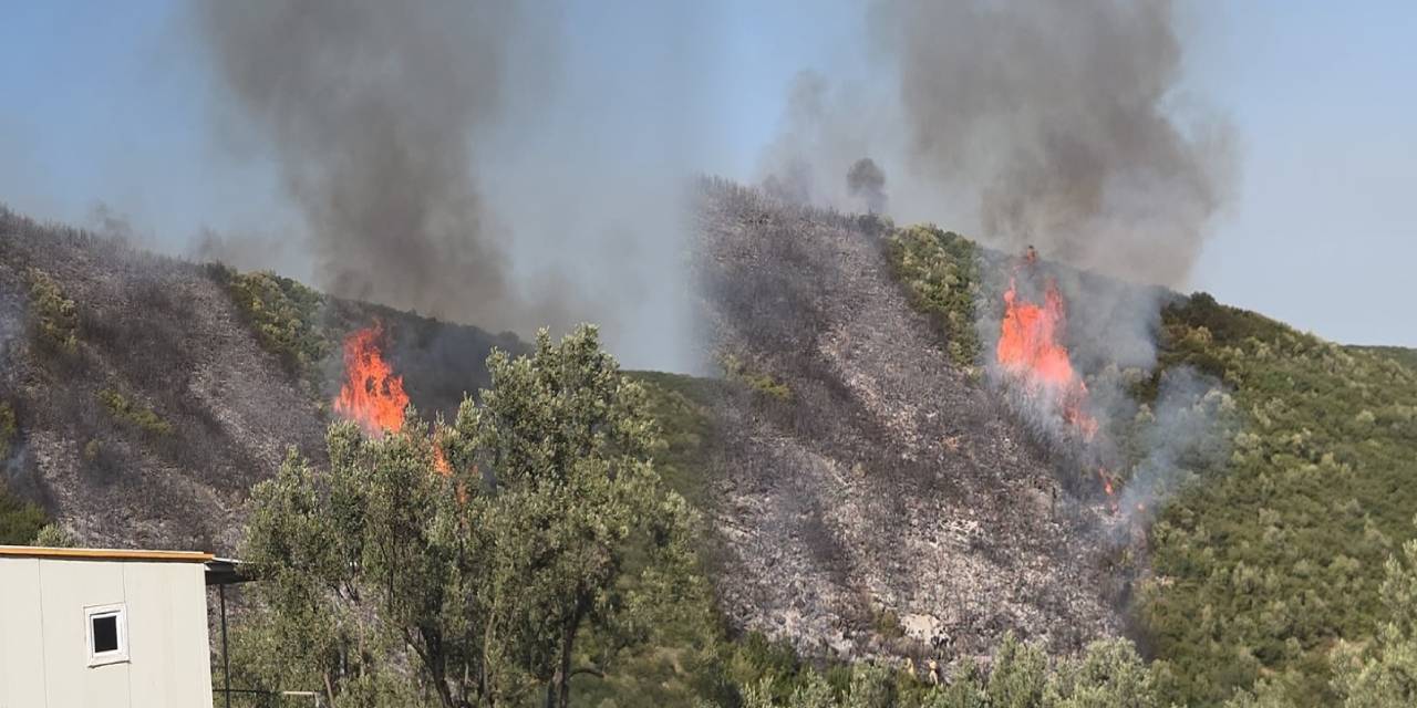 Bursa’da orman yangını: 1 kişi gözaltında