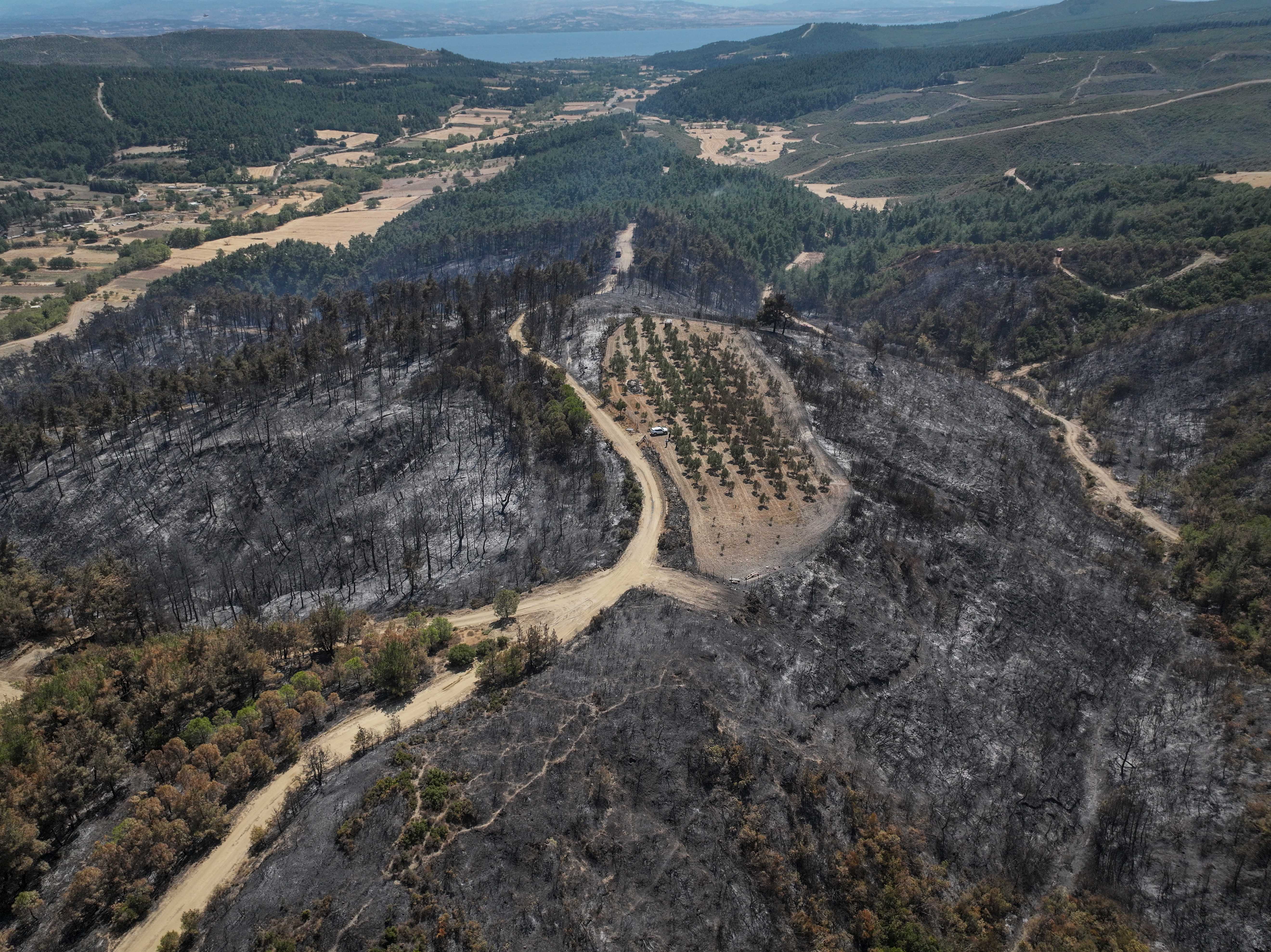 Orman yangınında sadece orası yanmadı: Tesadüf mü?