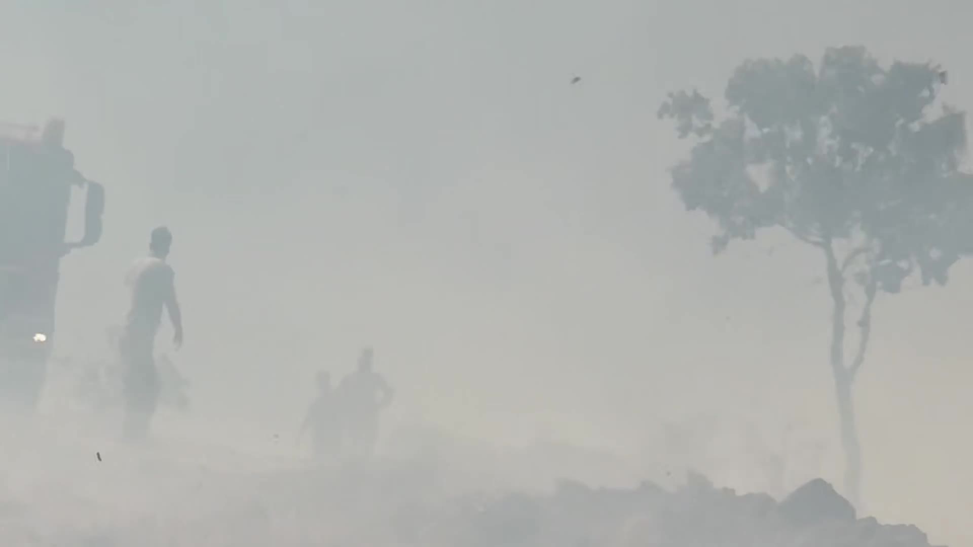 Kırıkkale’de çıkan yangında yaklaşık 15 bin dönüm arazi zarar gördü