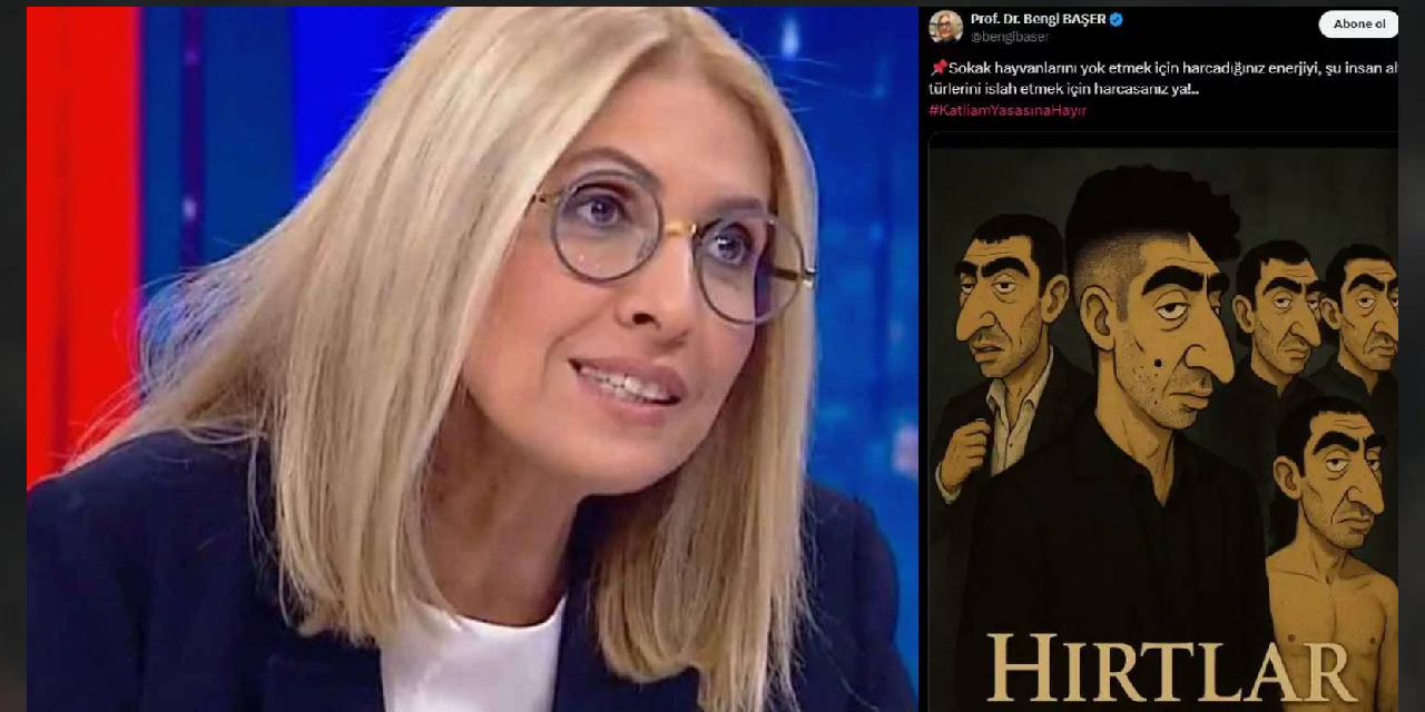 'Hırtlar Vadisi' görseli tepki toplamıştı: Diyarbakır Barosu'ndan Bengi Başer hakkında suç duyurusu