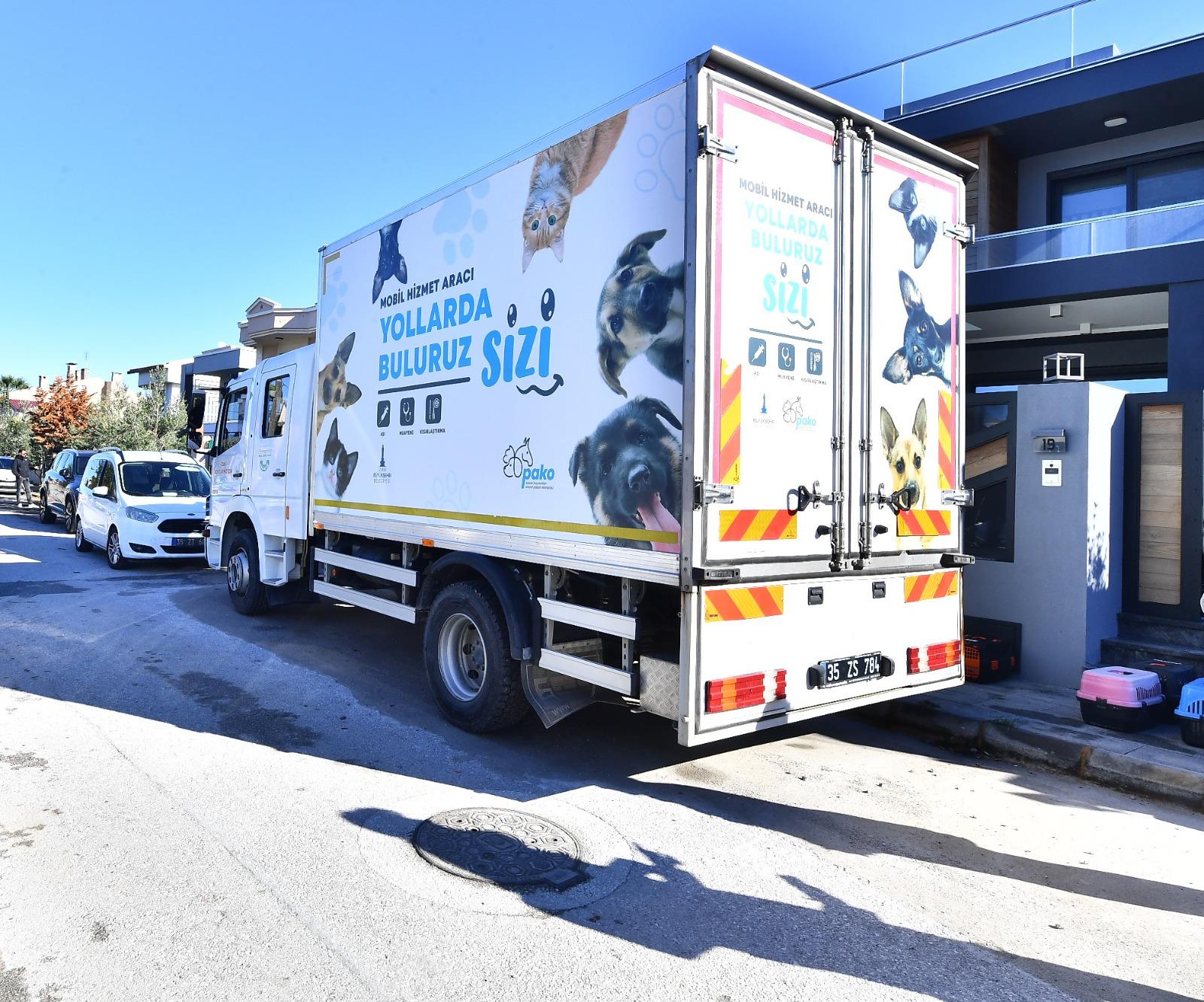 İzmir’de 7 bin sokak kedisi kısırlaştırıldı
