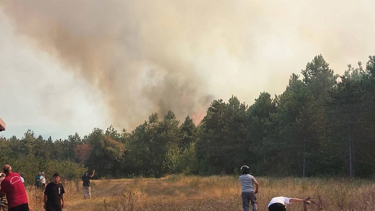 Sakarya'da korkutan orman yangını