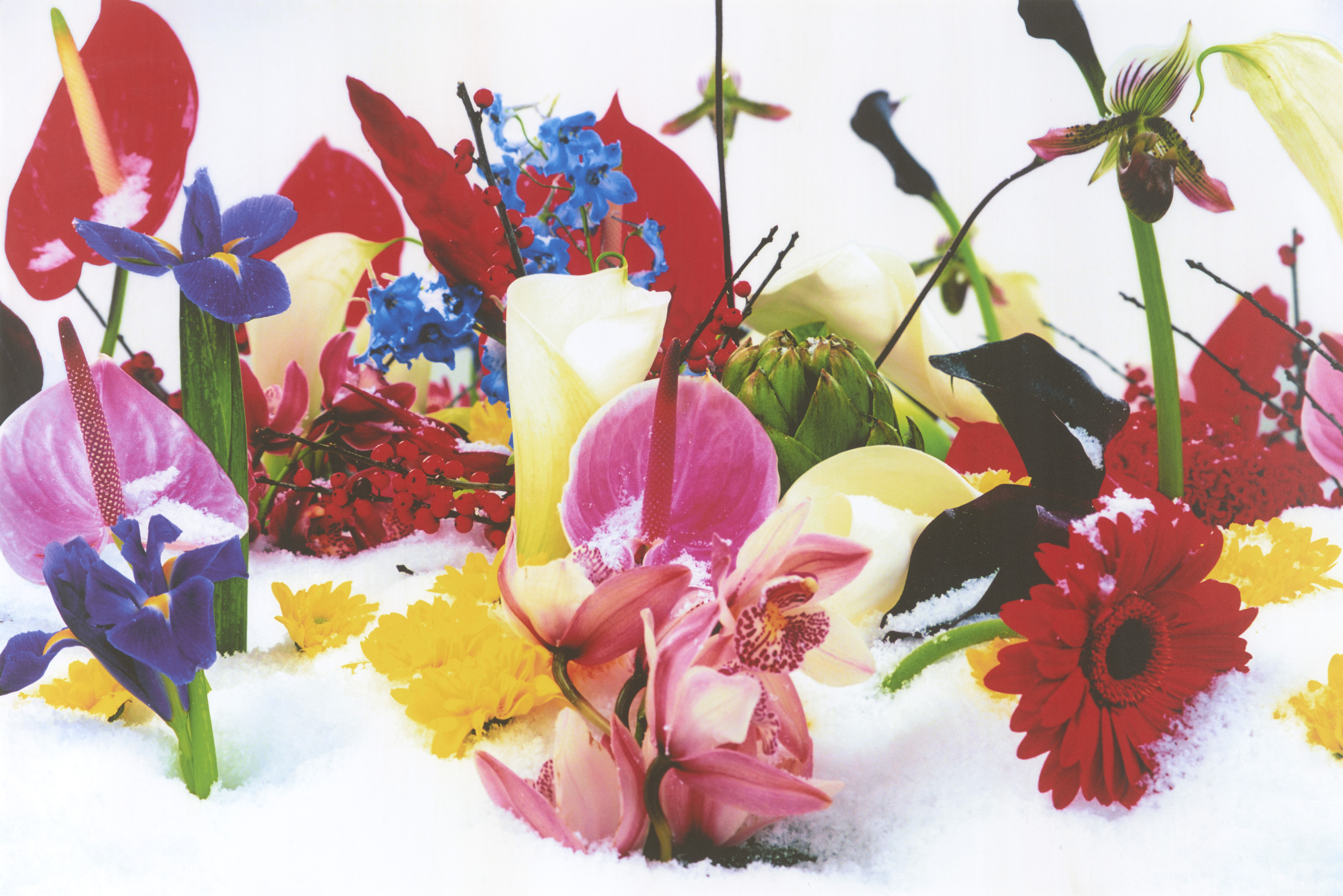 Pera Müzesi 20. yılında iki yeni sergiyle sanatseverleri ağırlıyor