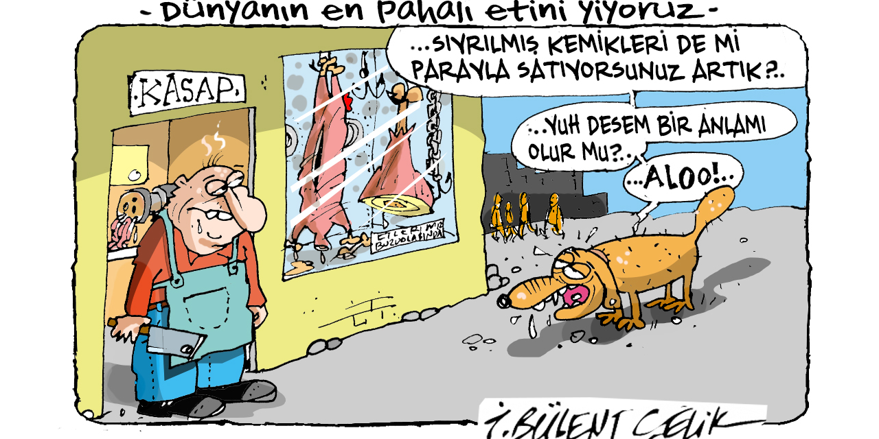 İ. Bülent Çelik'in 29 Ağustos 2025 tarihli karikatürü