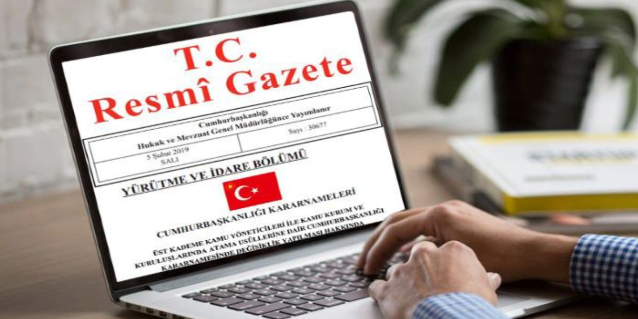 Resmi Gazete'de yayımlandı: 3 ilde sokak hayvanları için koruma birliği kurulacak