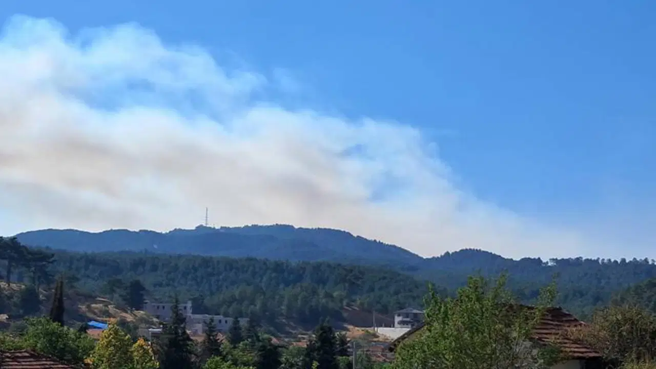 Denizli'de orman yangını