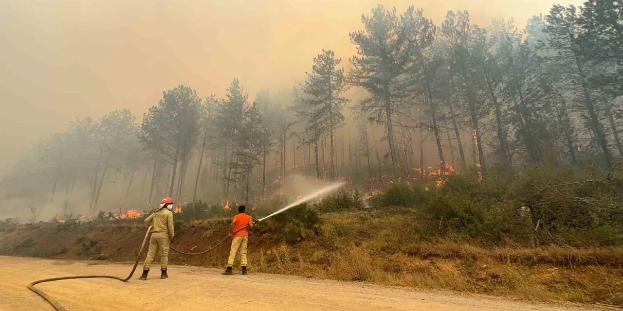 Karabük'te orman yangını büyüyor! 1 mahalle boşaltıldı