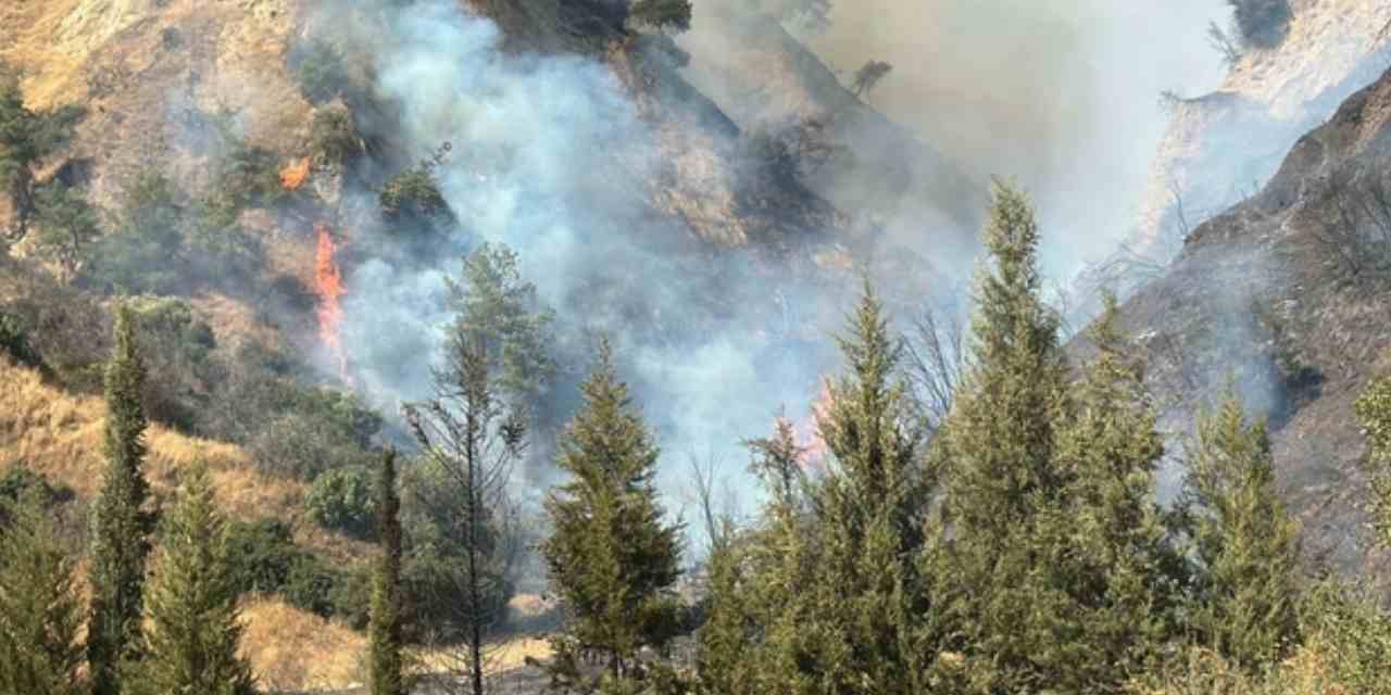 Atış poligonunda yangın çıktı ve ormana sıçradı