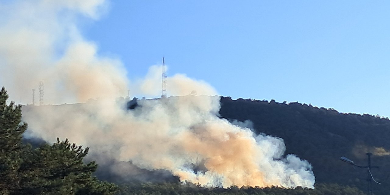 Kayışdağı ormanında yangın çıktı! Çok sayıda ekip sevk edildi