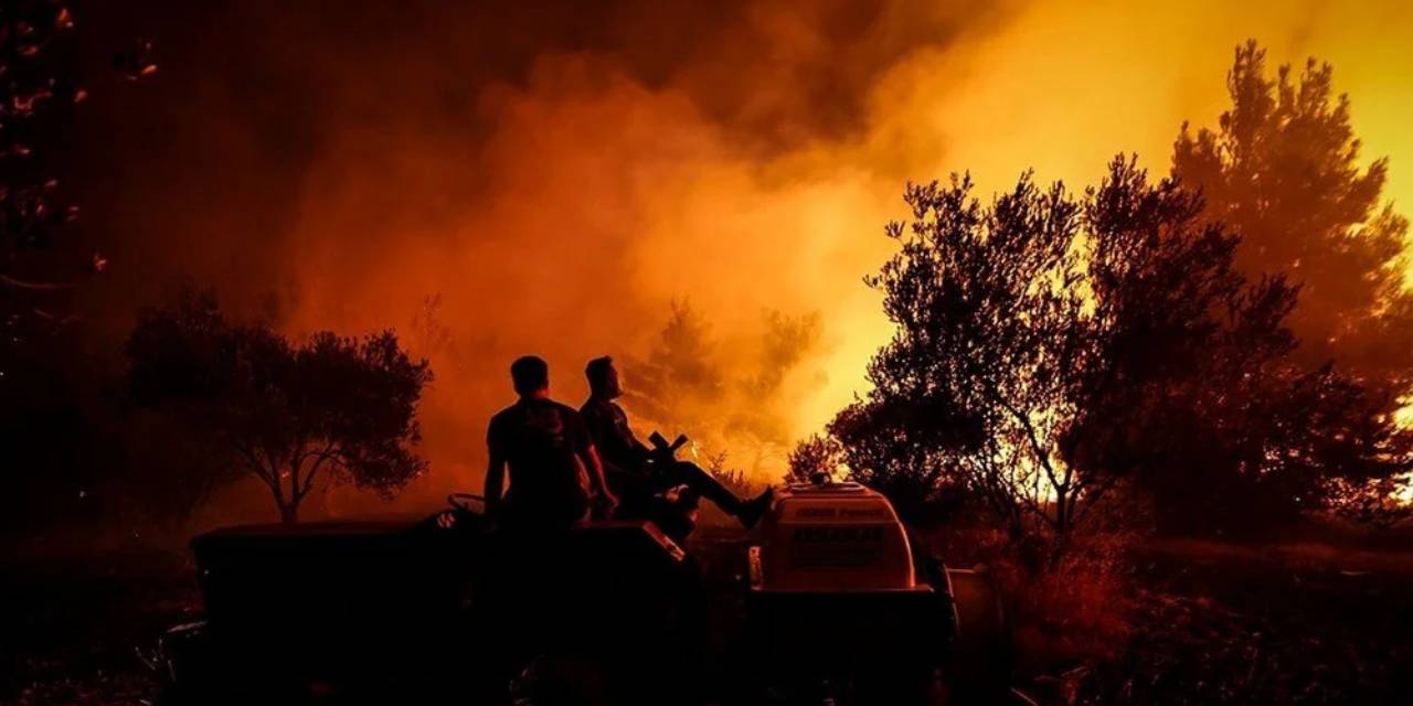 Aydın’daki orman yangınından iyi haber geldi